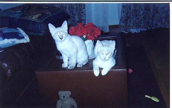 Queenie & Princess